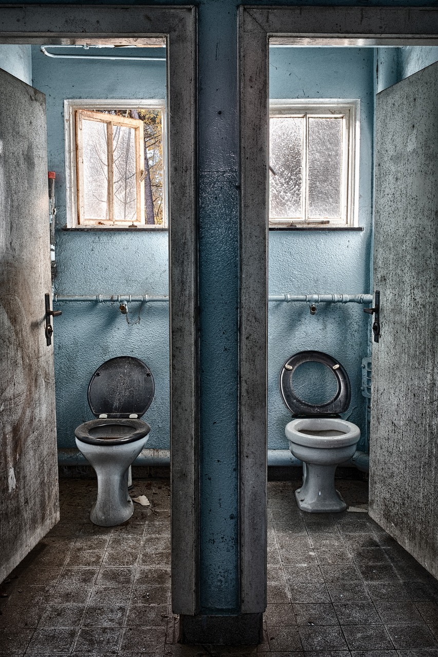 toilet  old  wc free photo
