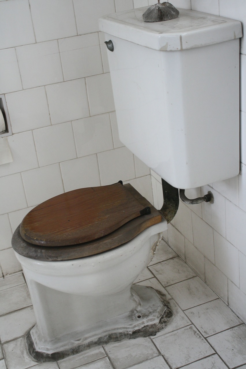 toilet bathroom restroom free photo
