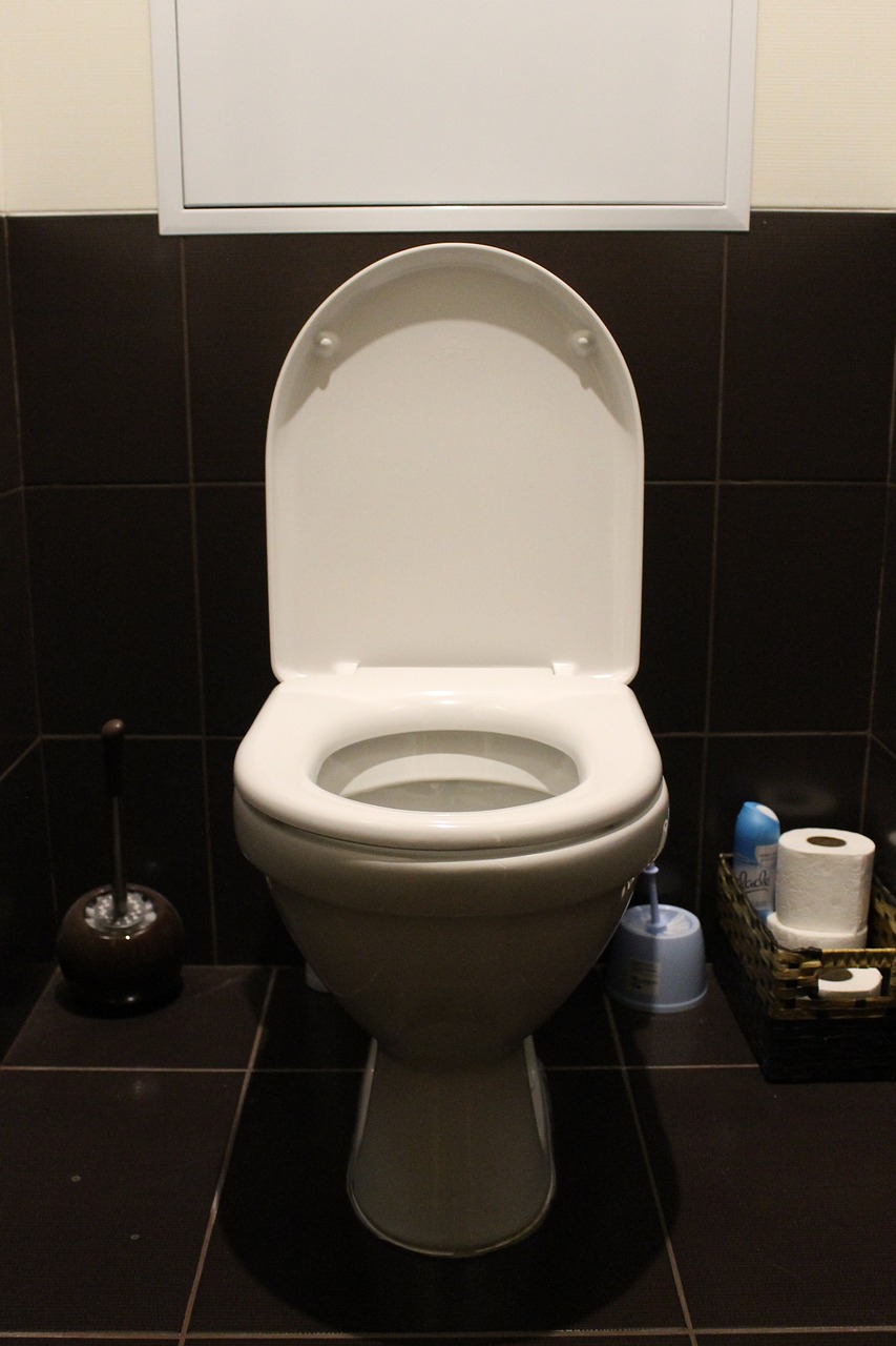 toilet wc toilet room free photo