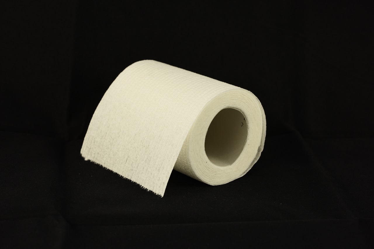 toilet paper toilet roll tissue free photo