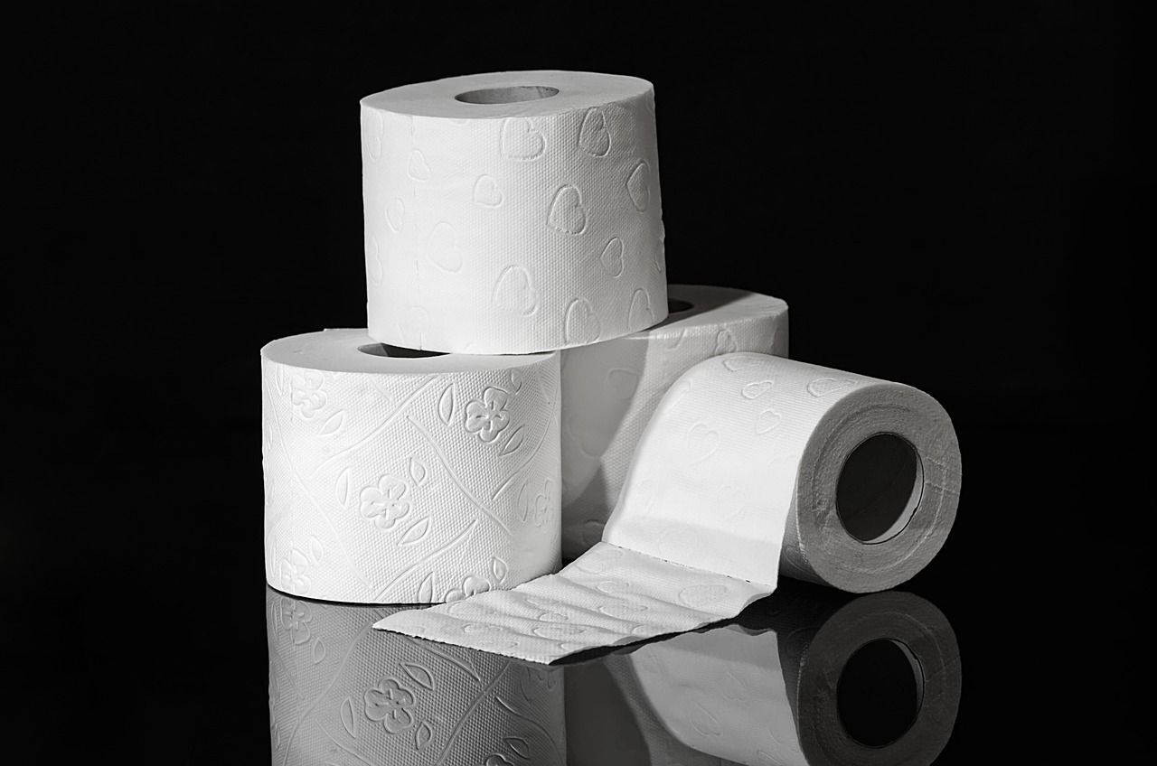 toilet paper  hygiene  role free photo