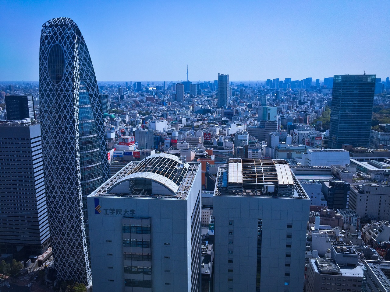 tokyo japan building free photo