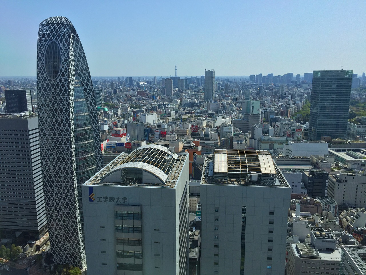 tokyo building japan free photo