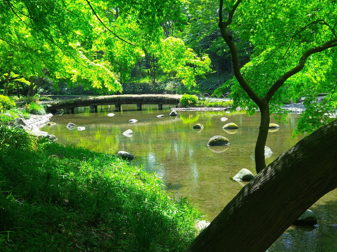 tokyo japanese garden free photo