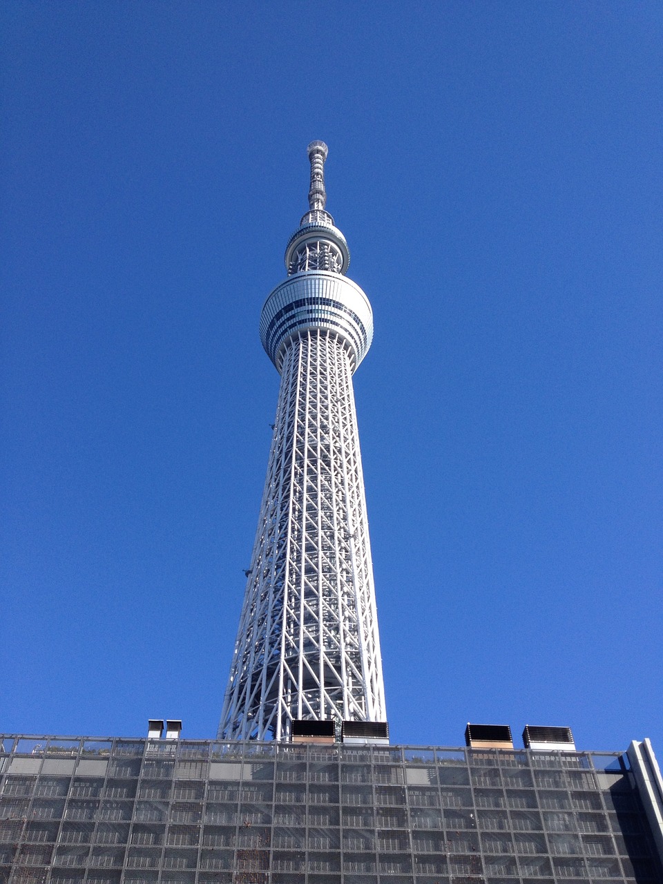 tokyo sky tree japan travel free photo