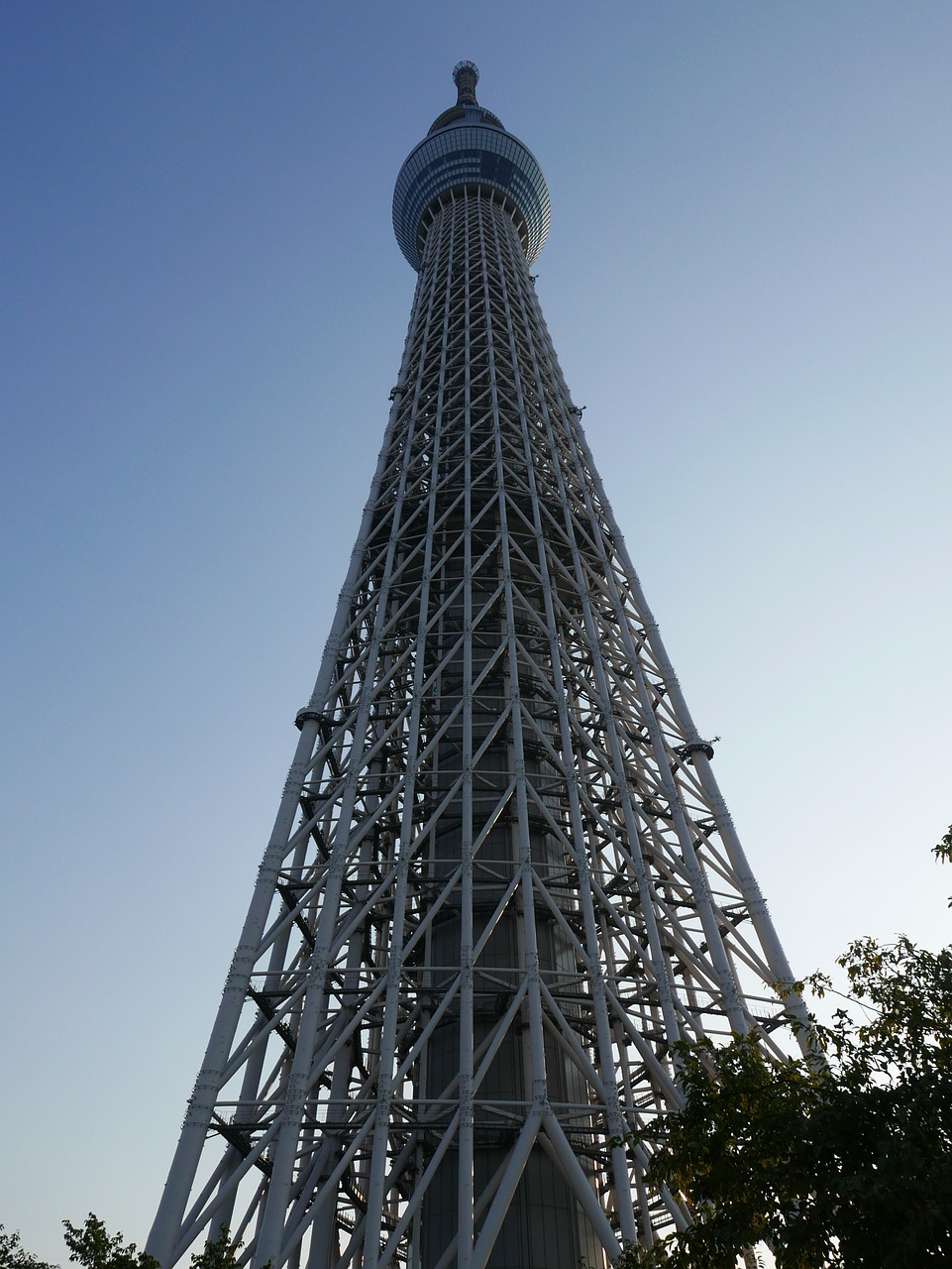 tokyo sky tree tall building sky free photo