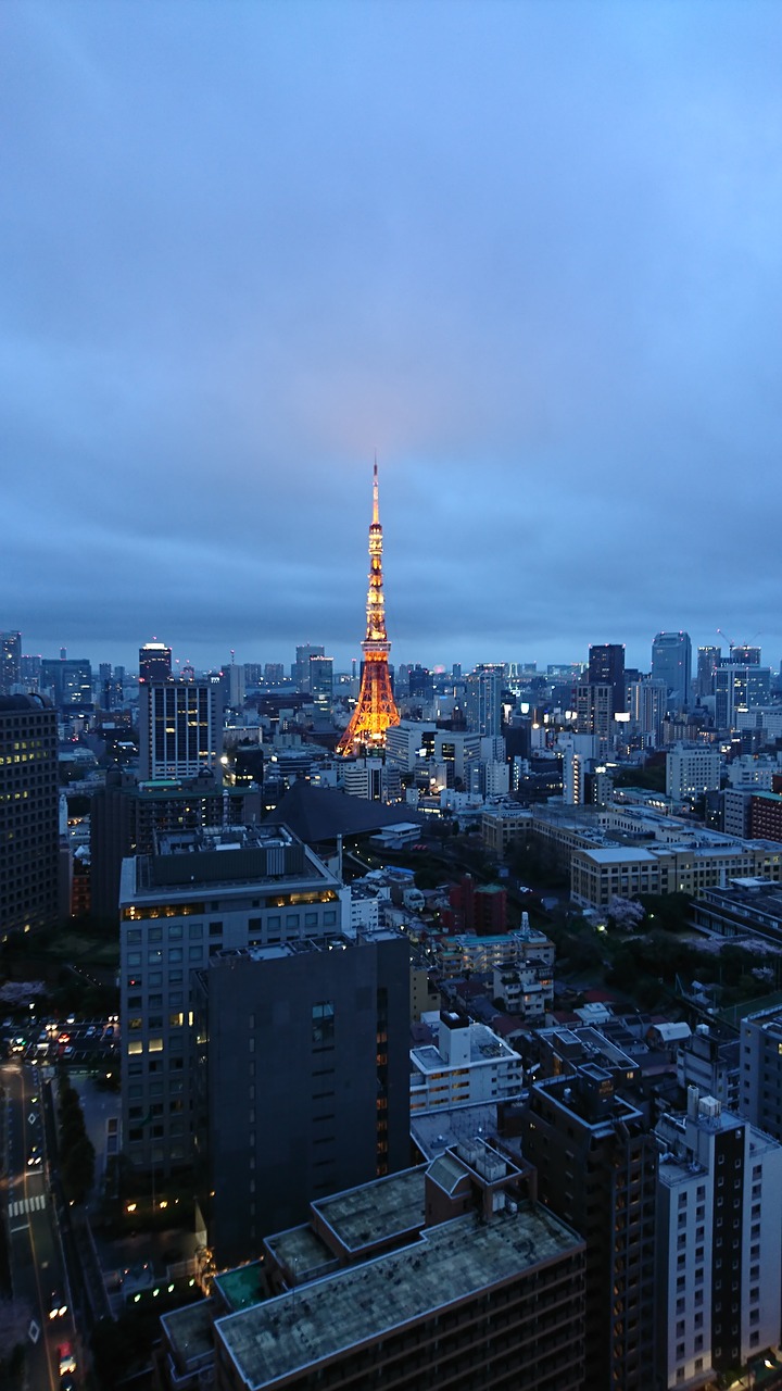 tokyo tower night view city free photo
