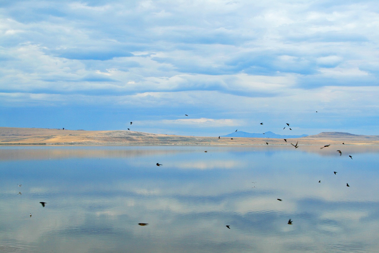 tom great salt lake salt lake city free photo