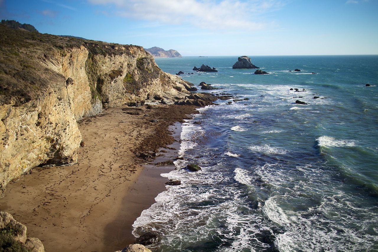 tomales bay coast beach free photo