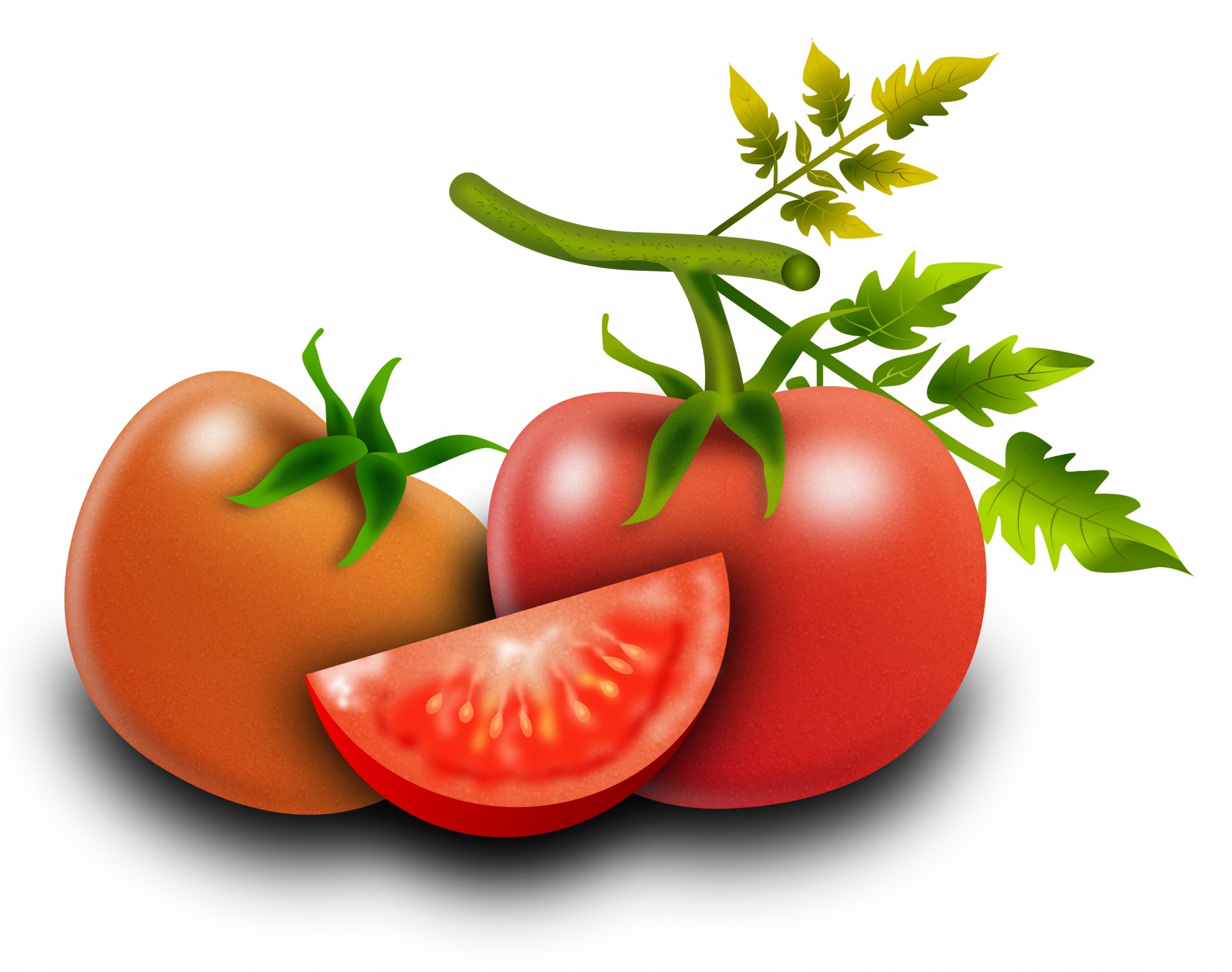tomatoes tomato fruit free photo