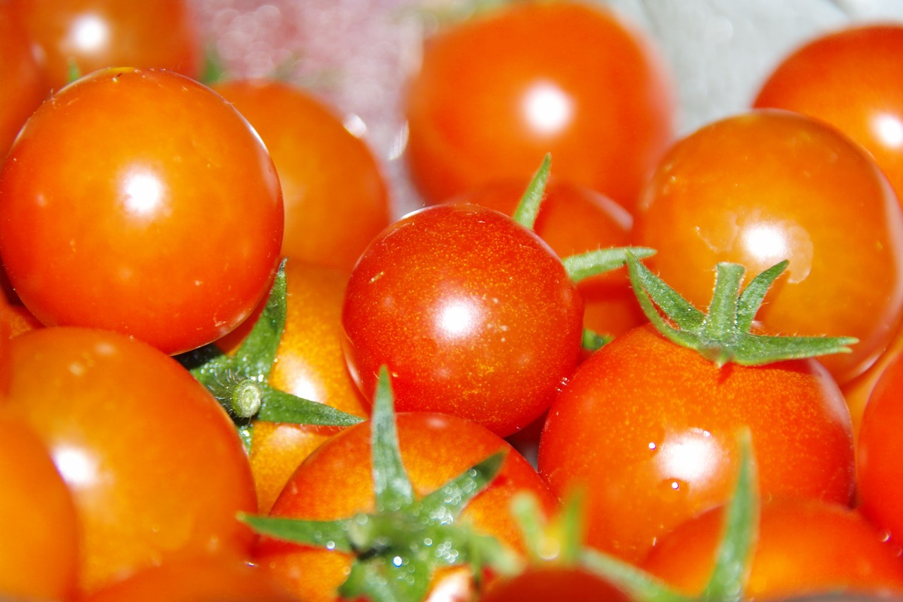 tomato red vegetables free photo