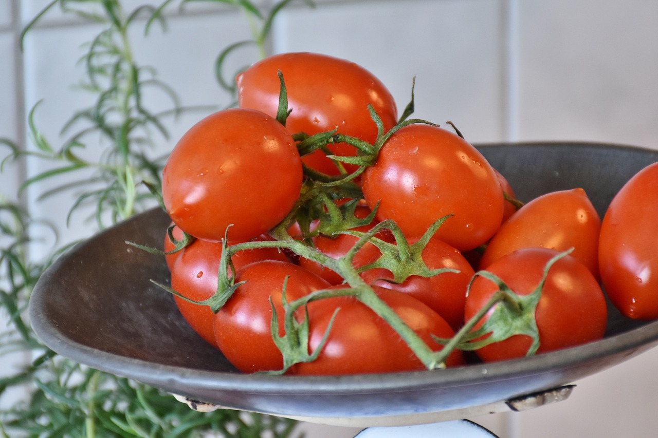 tomato red healthy free photo