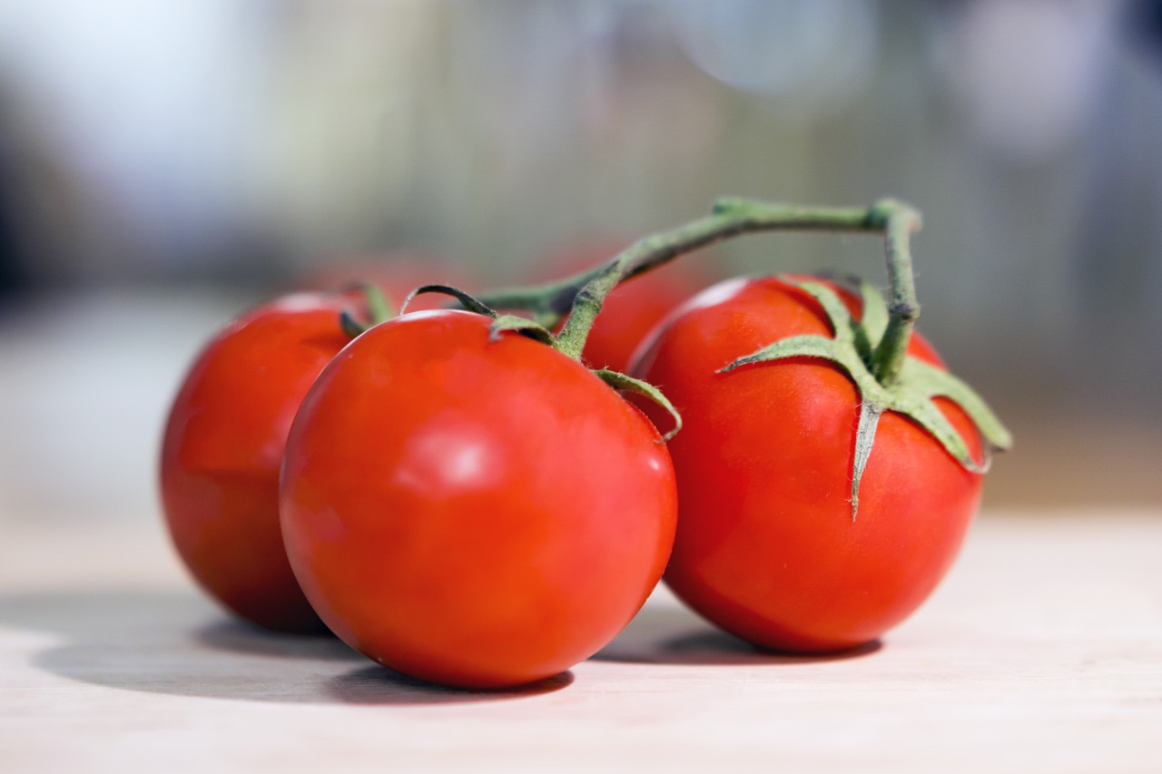 tomato red vegetables free photo