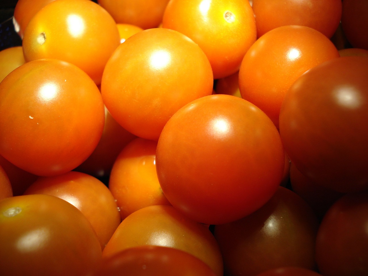 tomato fruit cook free photo