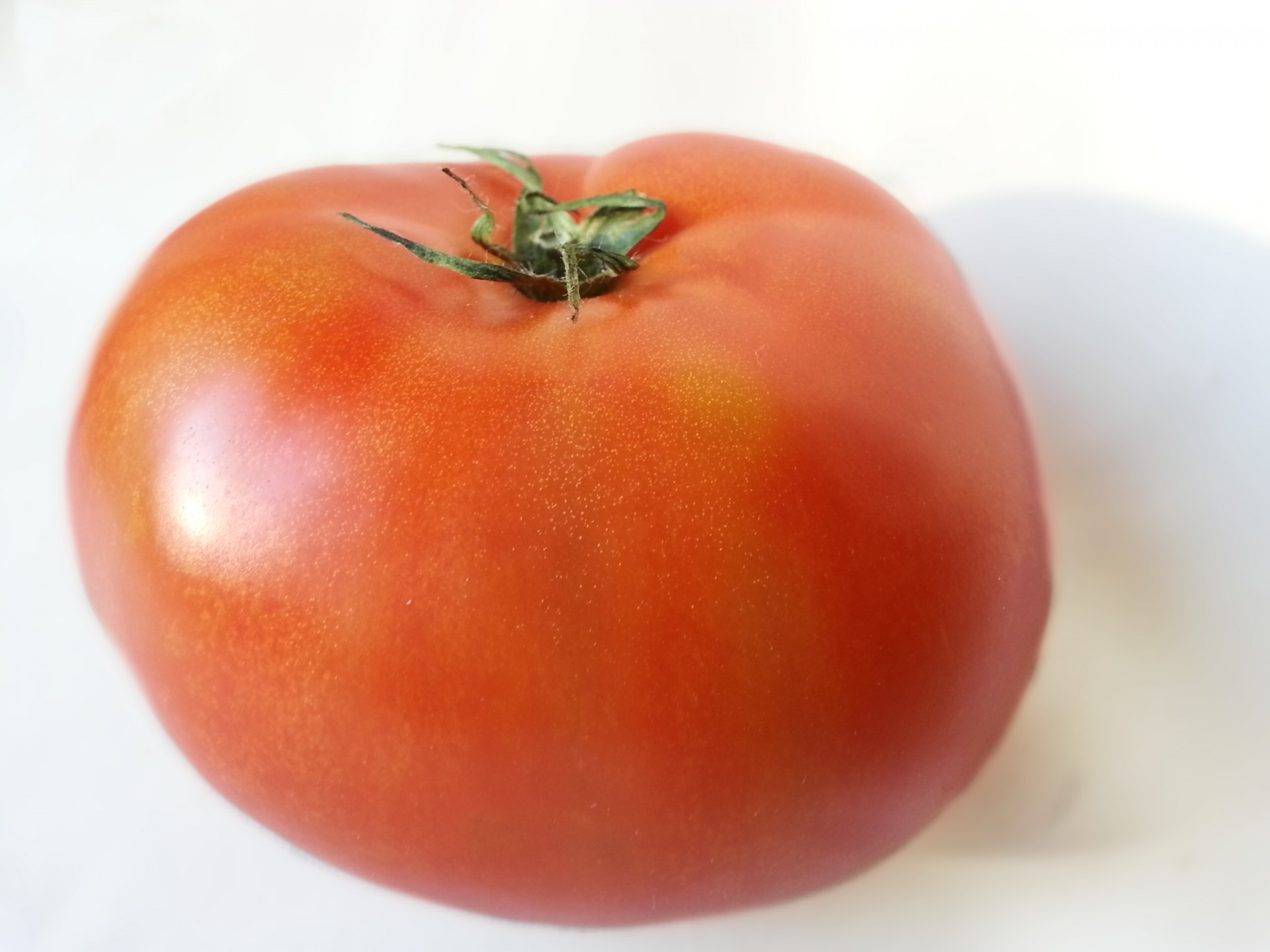 tomato recipe vegetable free photo