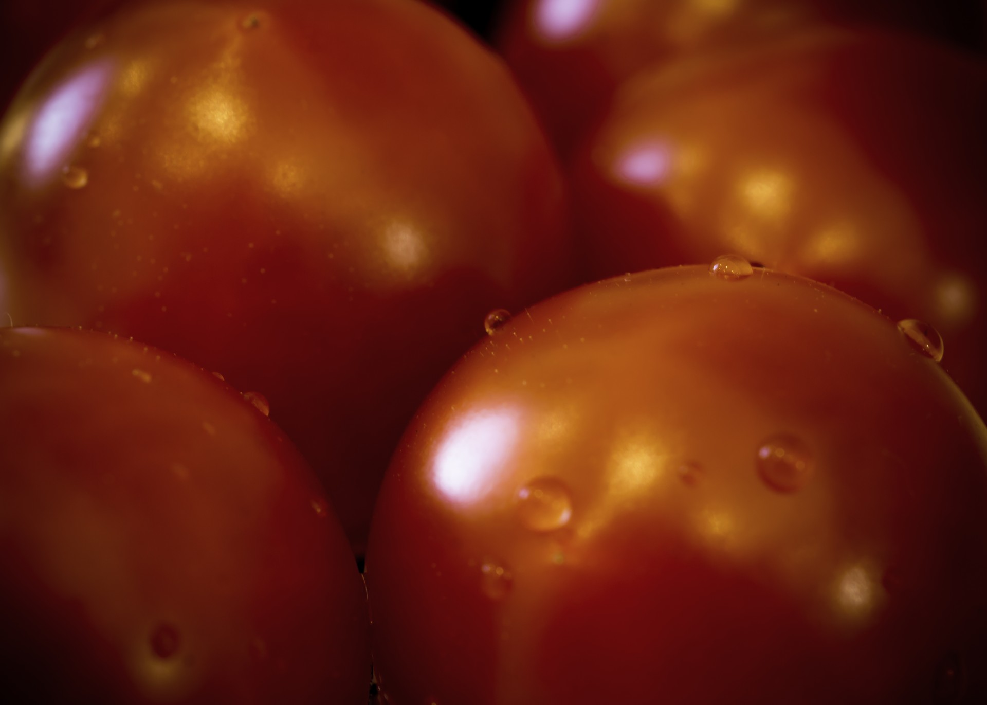 tomato tomato&#039;s vegetable free photo