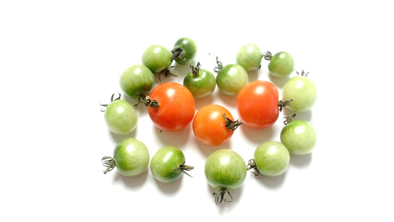 tomato red green free photo