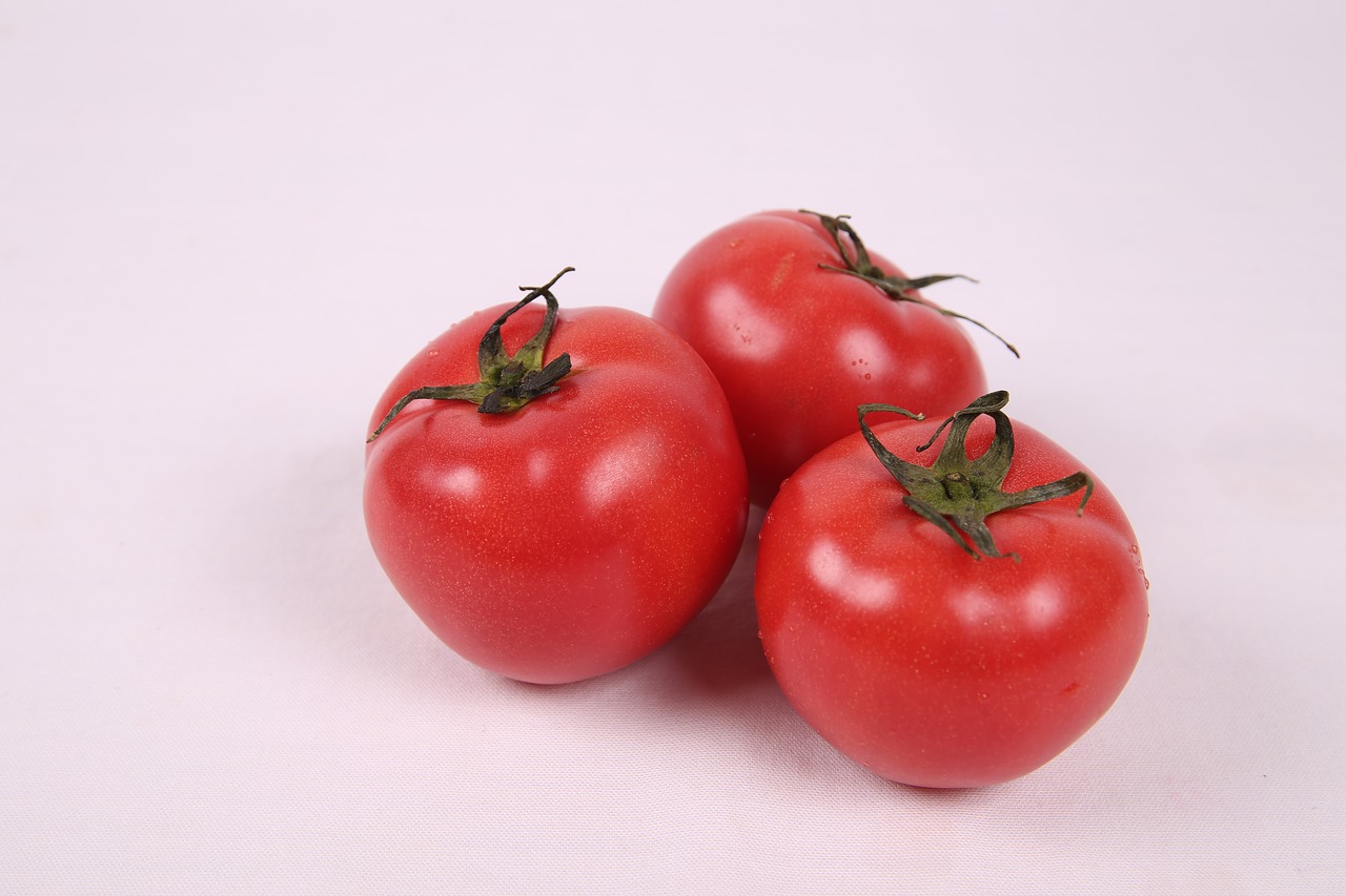 tomato red fruit free photo