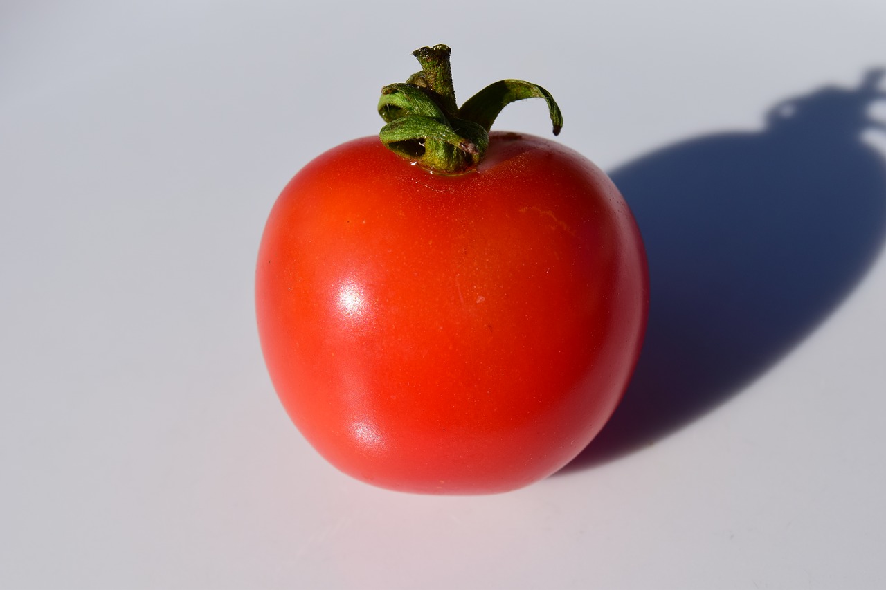 tomato close food free photo