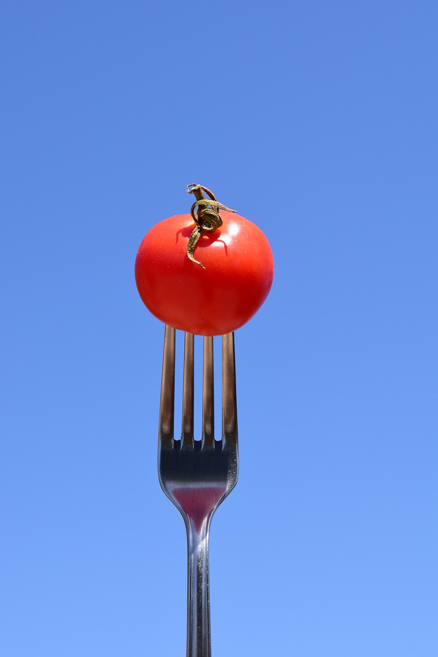tomato fork eat free photo