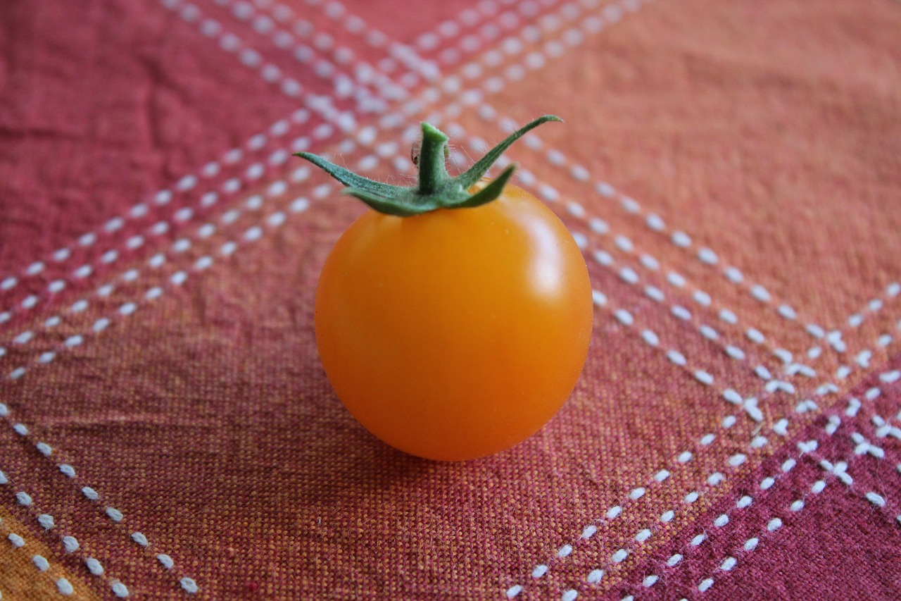 tomato red orange free photo