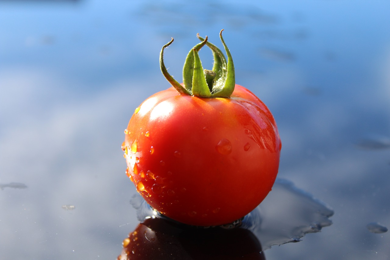 tomato ripe vegetables free photo