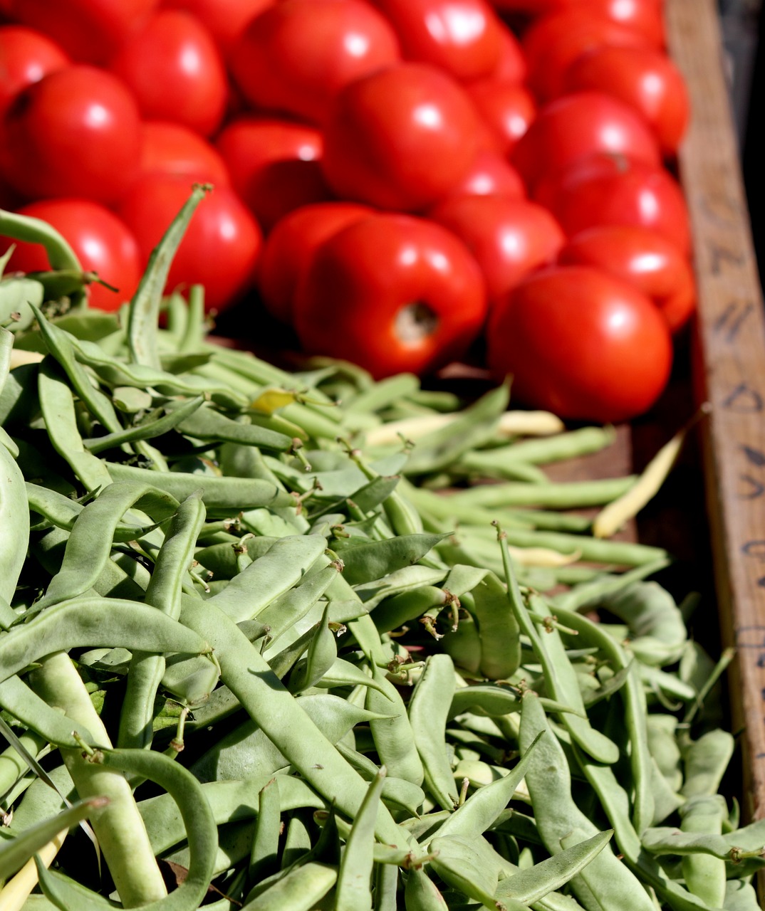 tomato green beans free photo