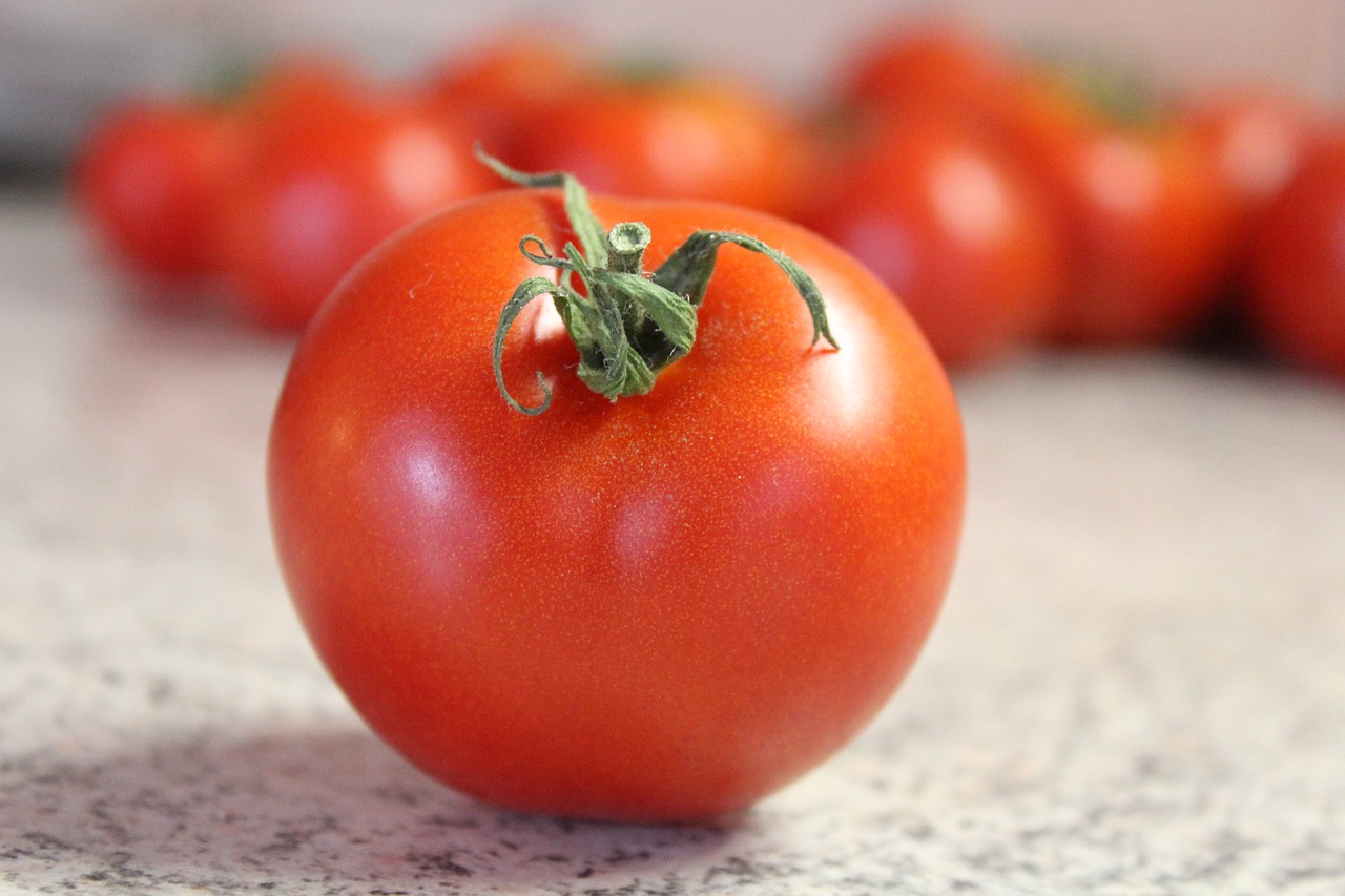 tomato red vegetables free photo