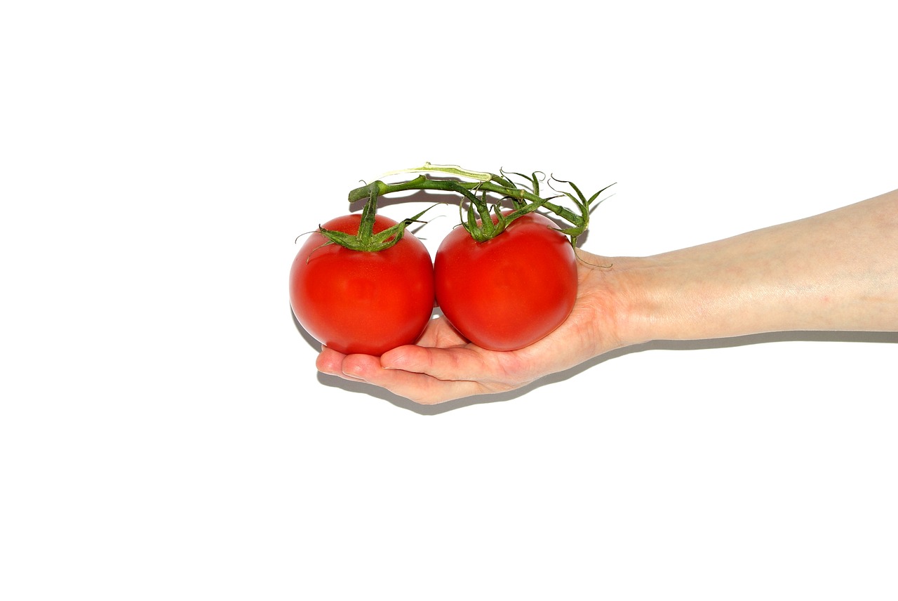tomato the hand hands free photo