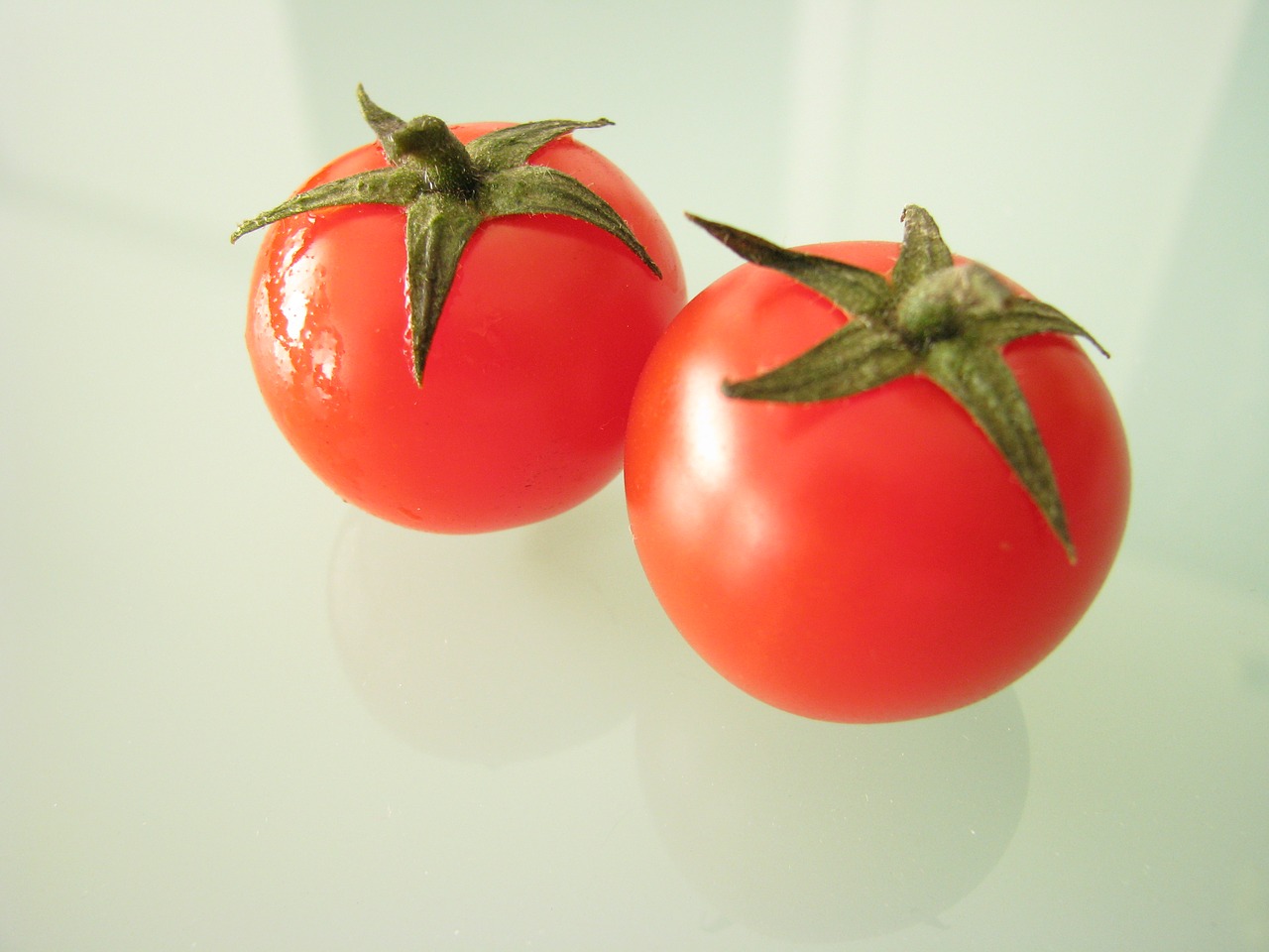 tomato vegetable food free photo