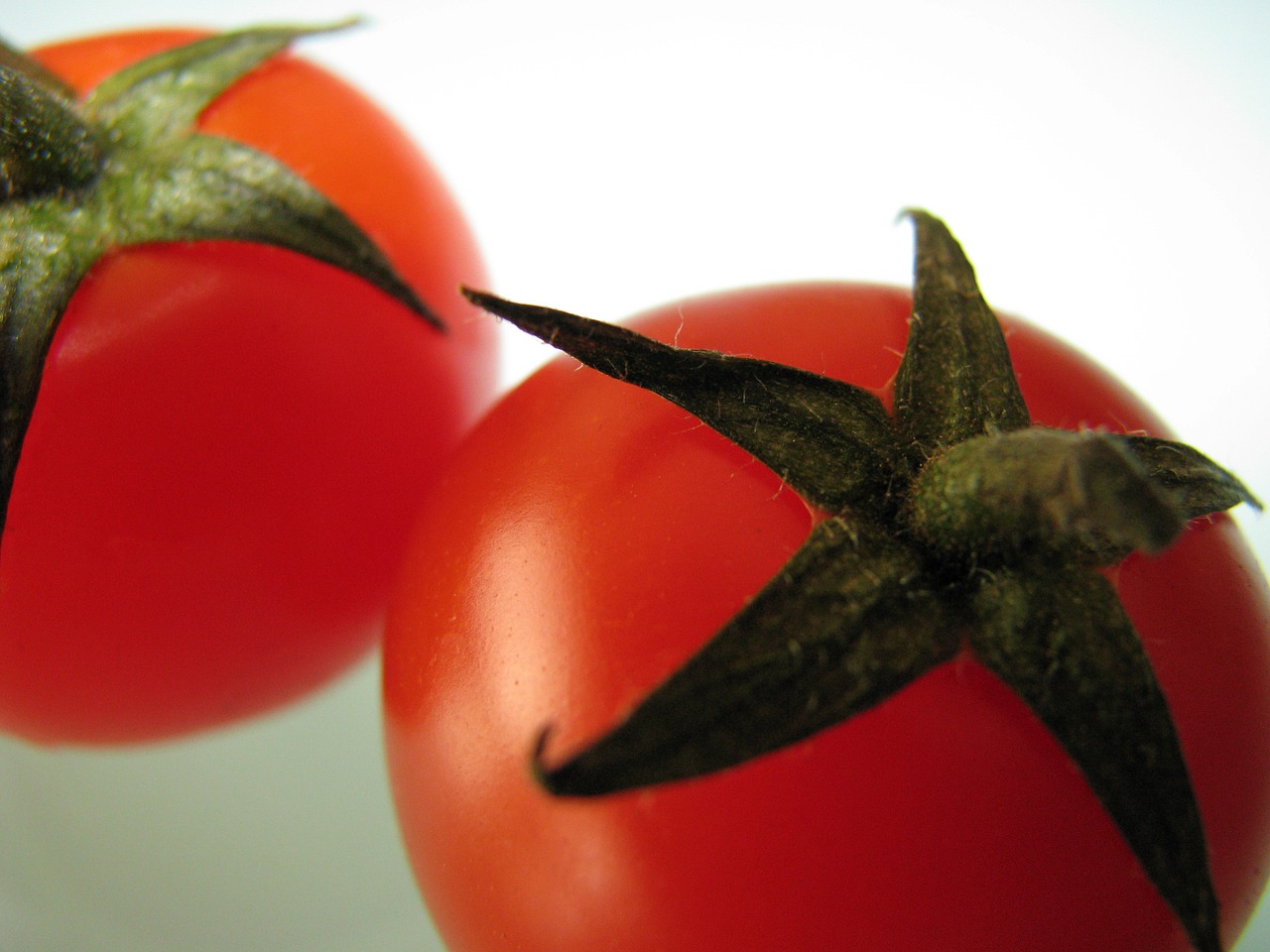 tomato vegetable food free photo