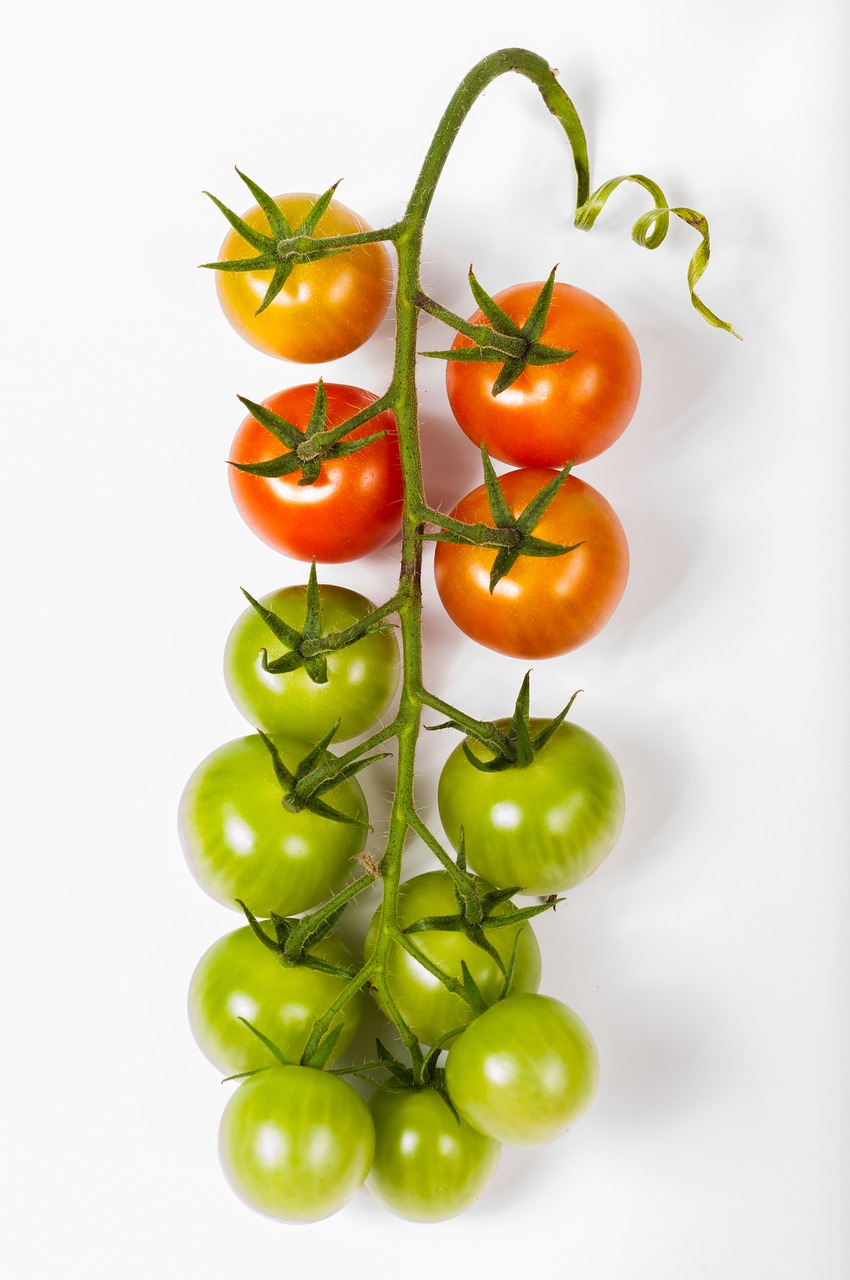 tomato cherry tomatoes free photo