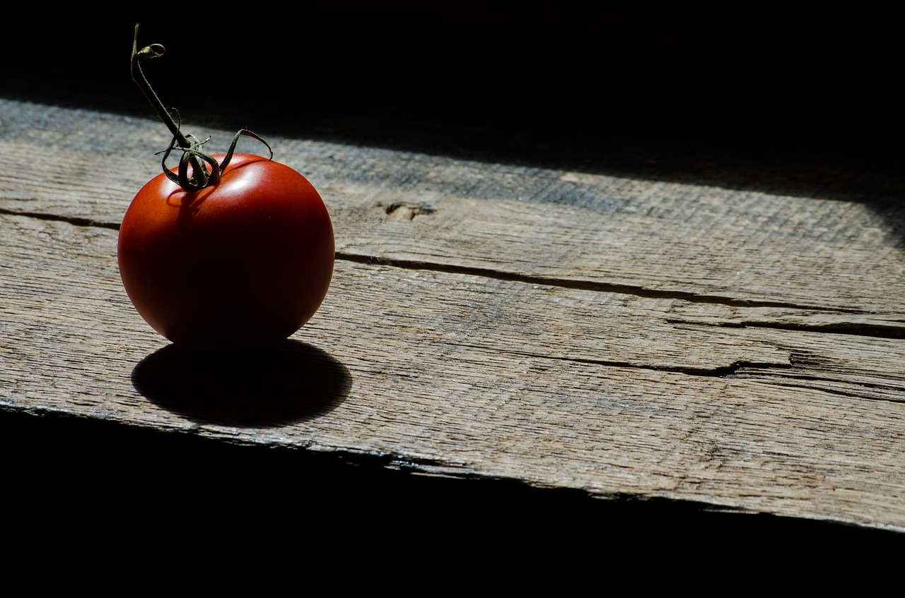 tomato contrast product free photo