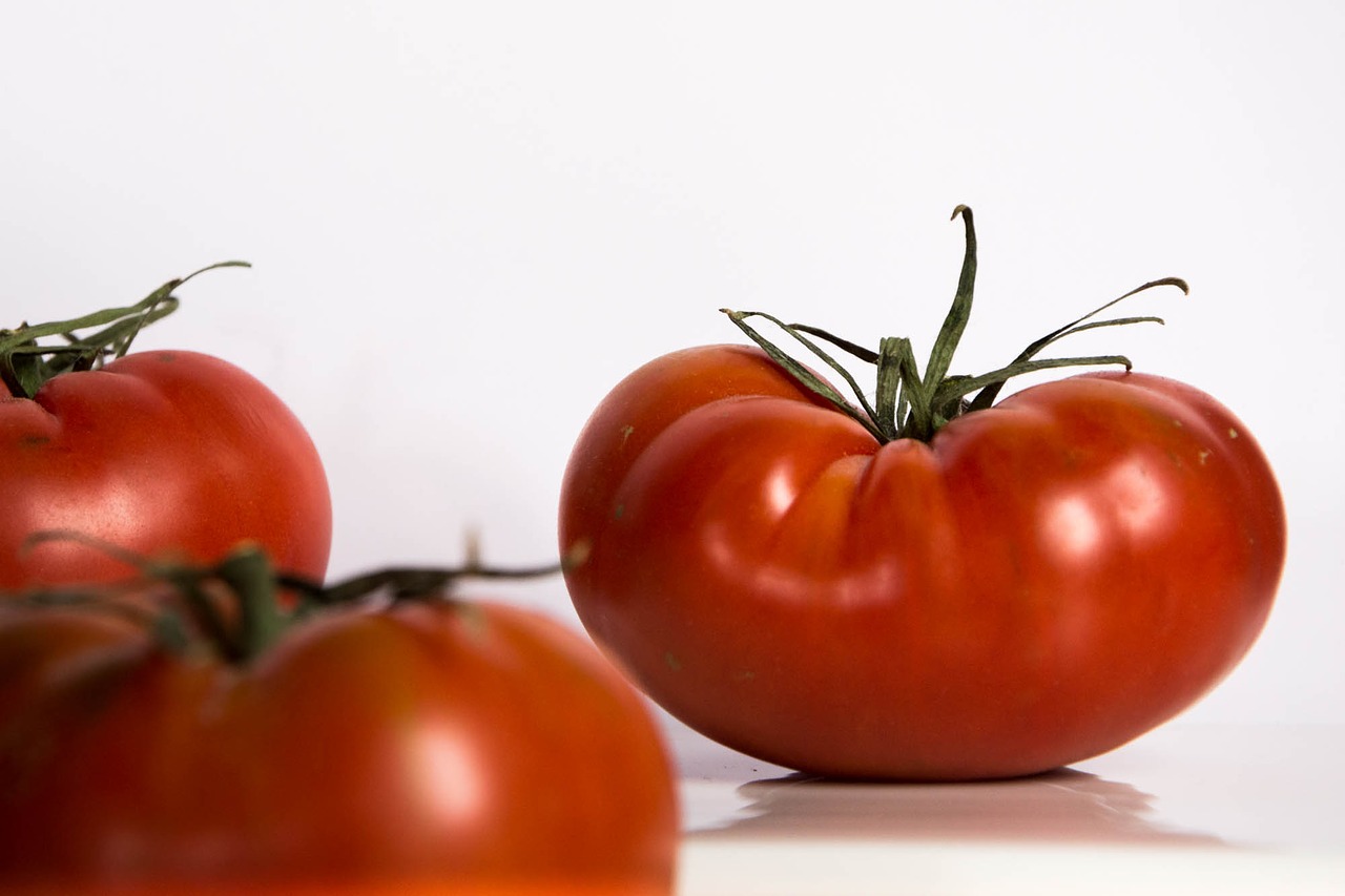 tomato fruit vegetables free photo