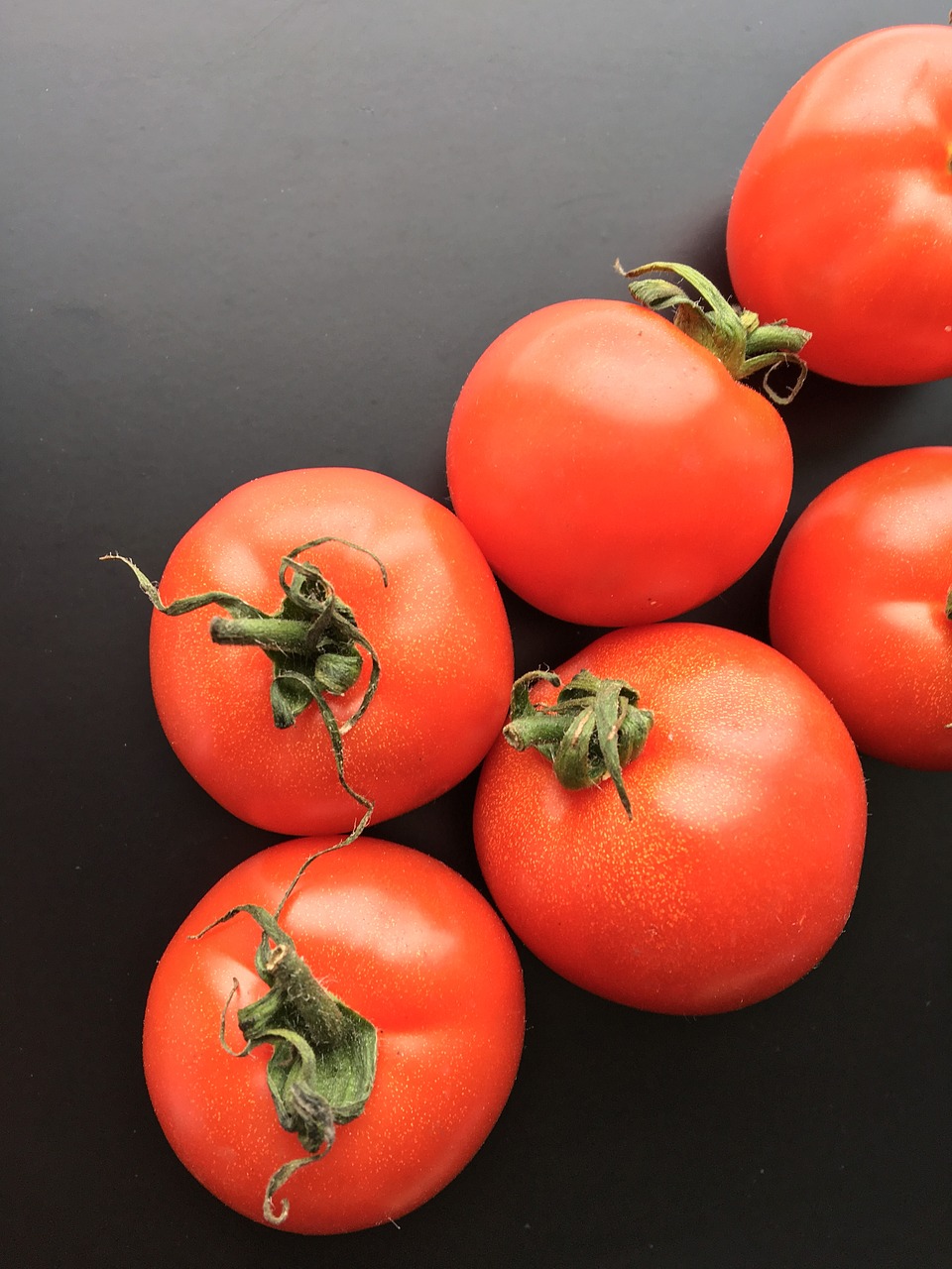 tomato fruit vegetable free photo