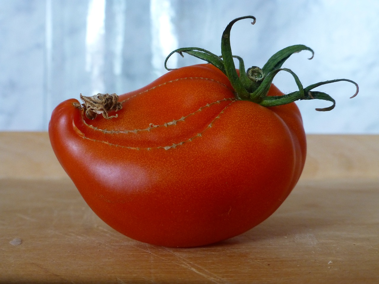 tomato strange red free photo