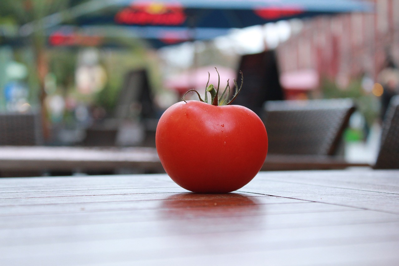 tomato tomatoes red free photo
