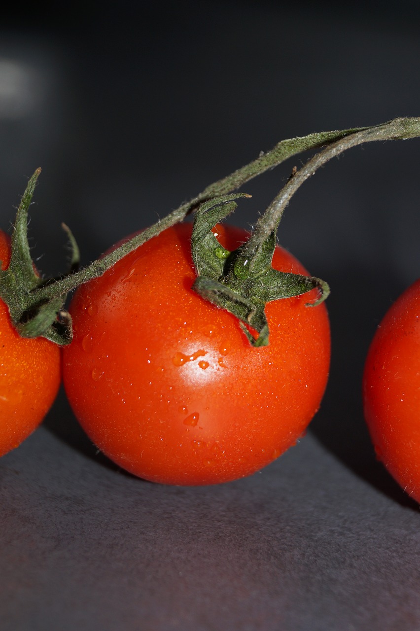 tomato red vegetables free photo