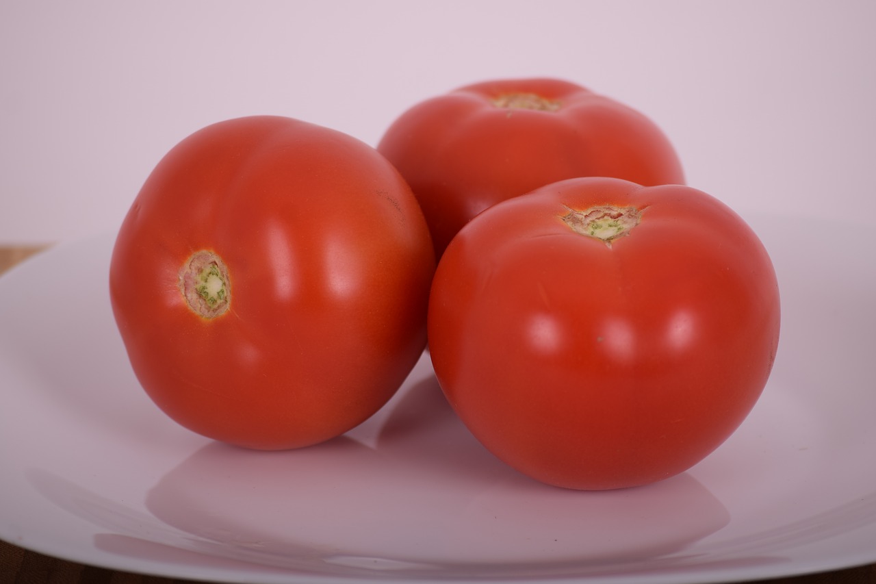 tomato vegetable salad free photo