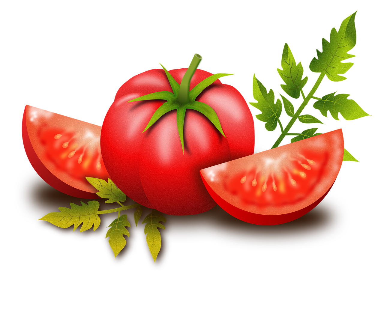 tomato fruits vegetables free photo