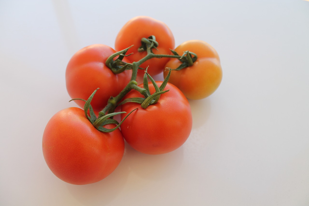 tomato round panicle free photo