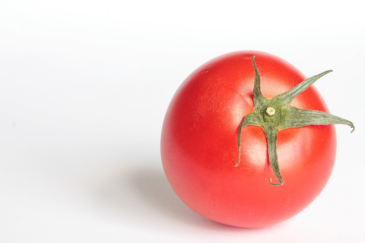 tomato tomato red vegetables free photo