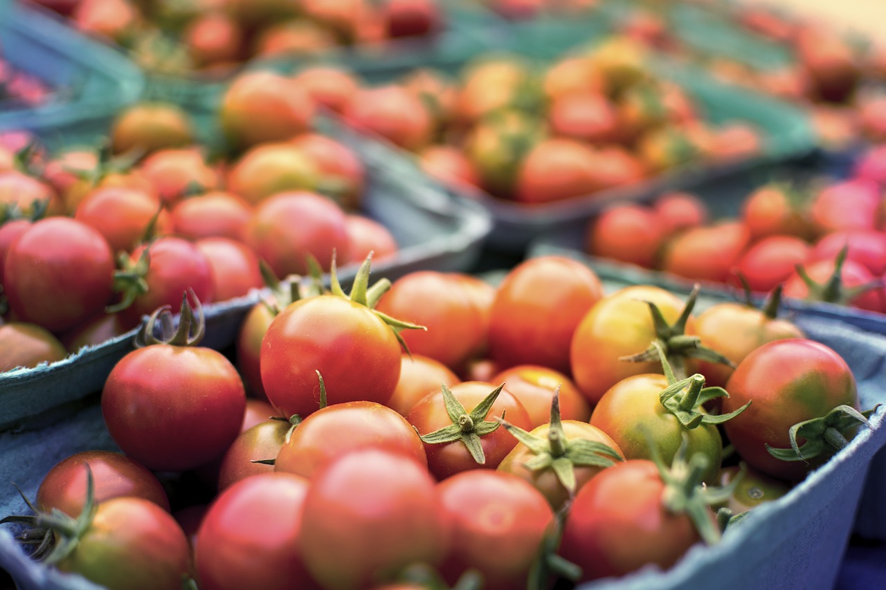 tomato healthy health free photo