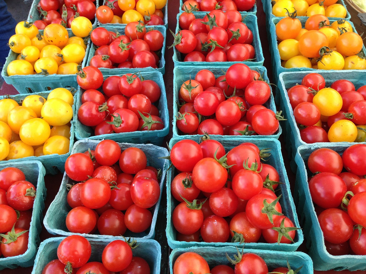 tomato harvest vegetable free photo