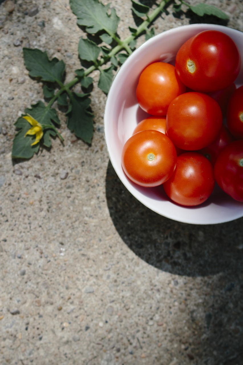 tomato vegetables summer vegetable free photo