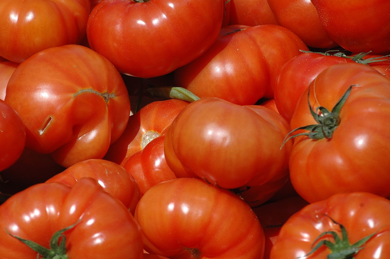 tomato red power free photo