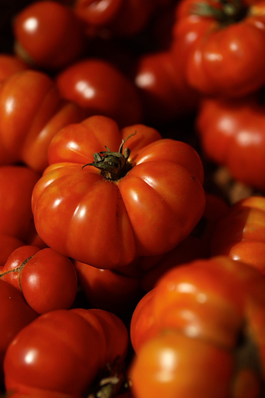 tomato red ripe free photo