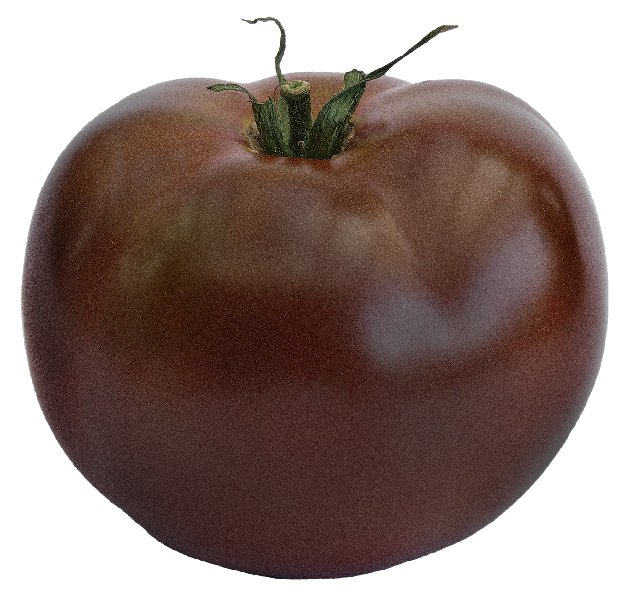 tomato black tomato variety zebrino free photo