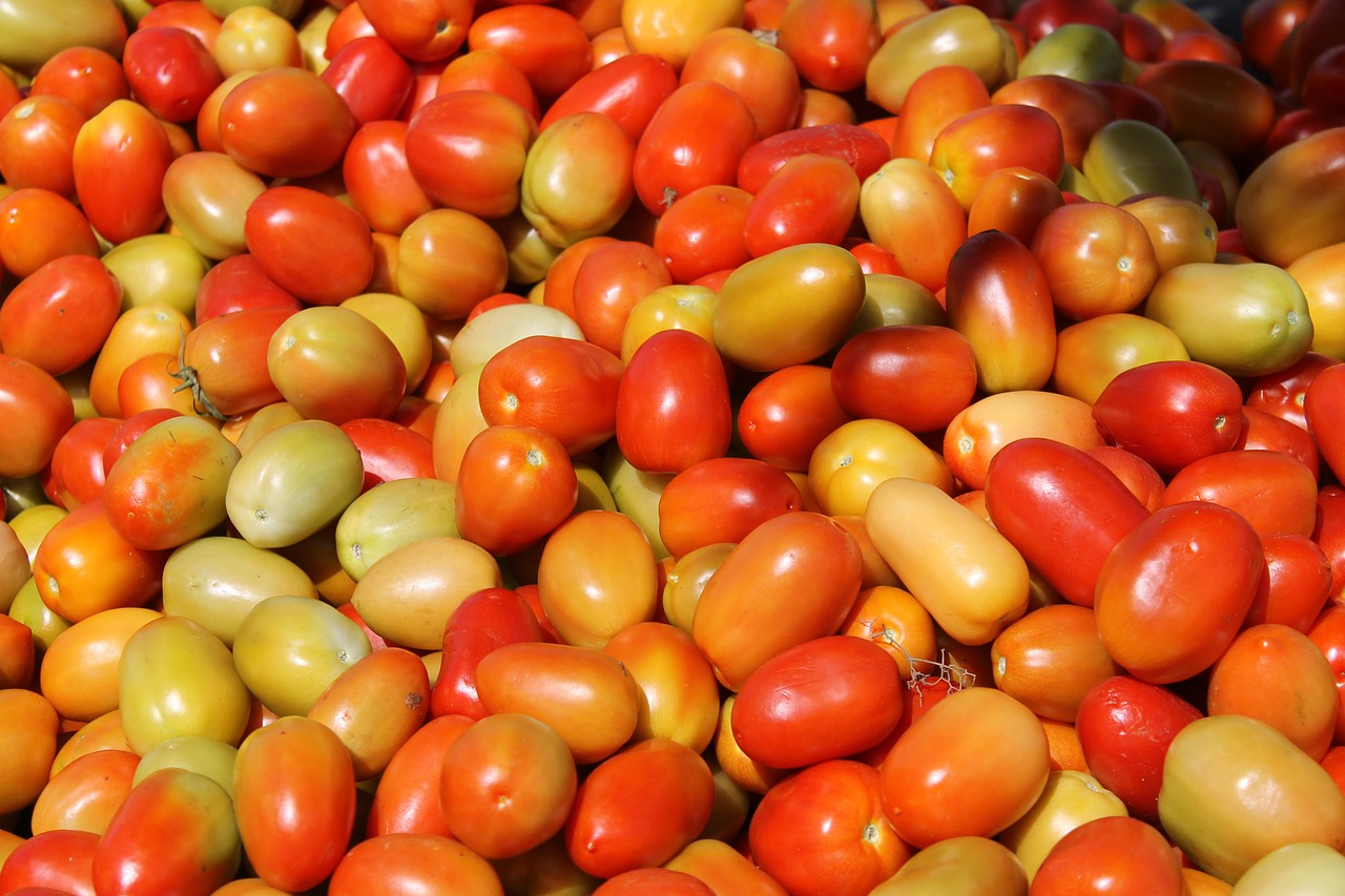 tomato vegetables fruit free photo