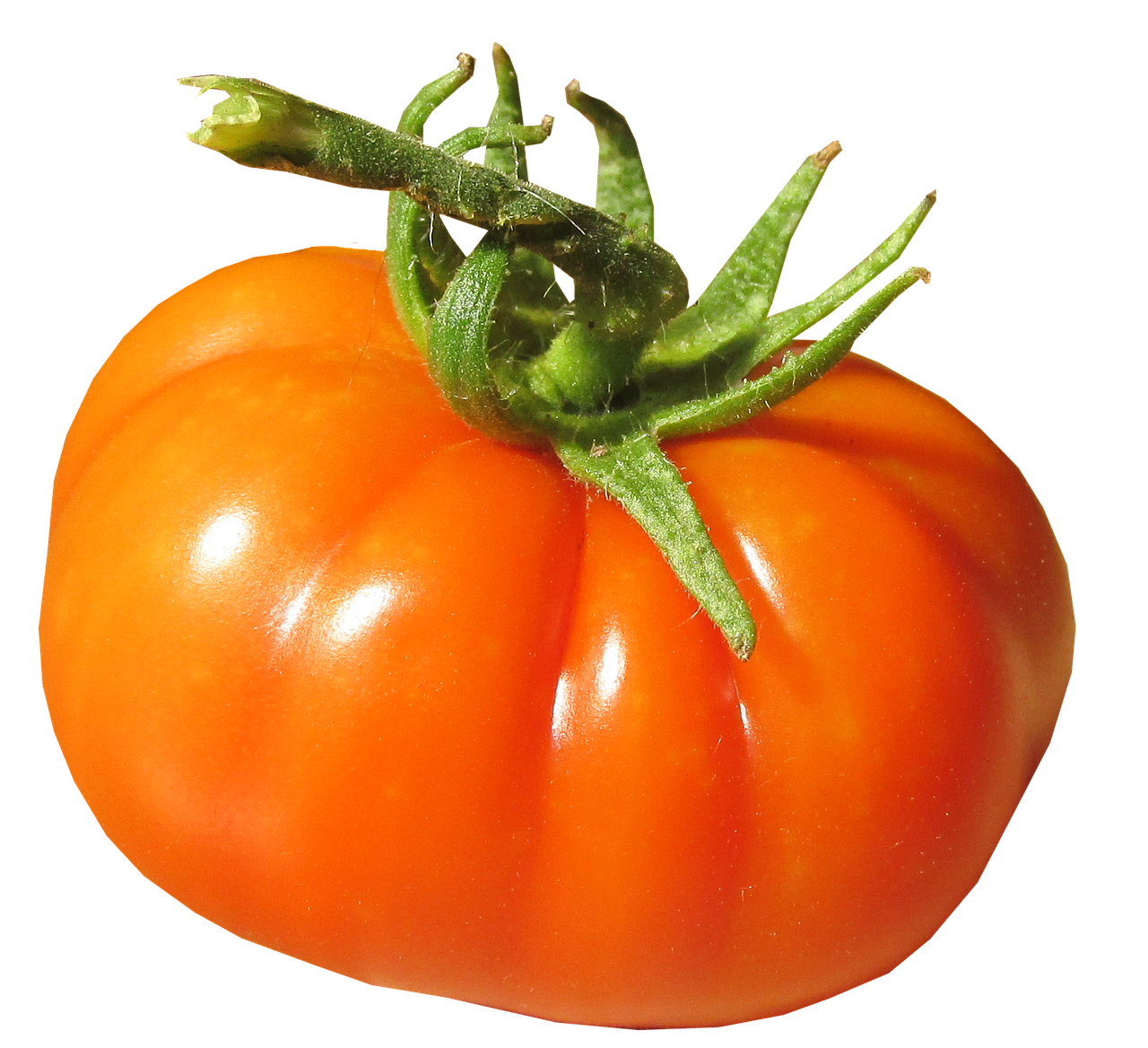 tomato organic fresh free photo